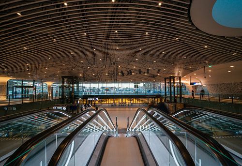 De kaart op het plafond van treinstation Delft