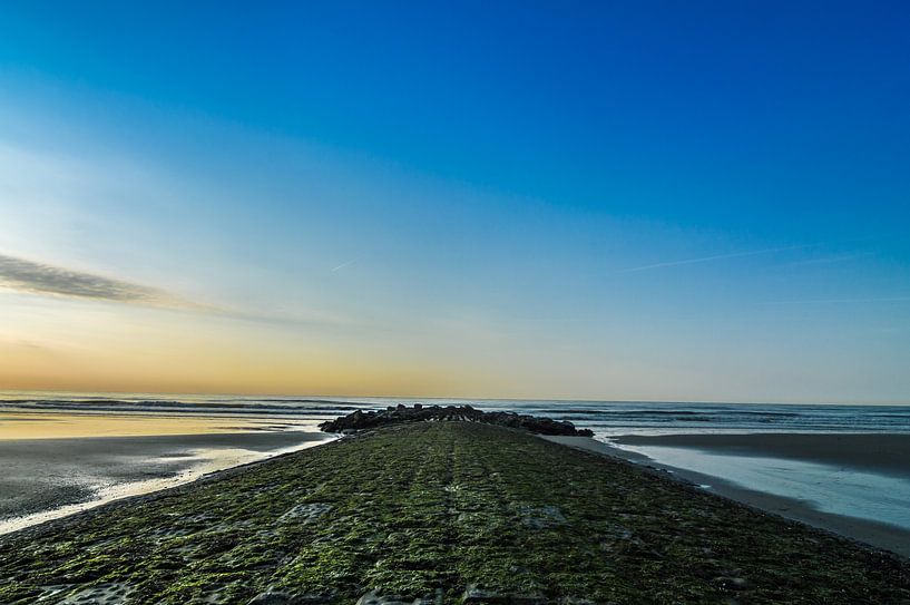 Zeekrib bij Bredene van Patrick Verhoef
