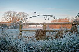Eiskalte Schönheit der Natur erleben und verweilen!
