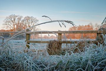 Ervaar de ijskoude schoonheid van de natuur en blijf hangen! van Momentaufnahme | Marius Ahlers