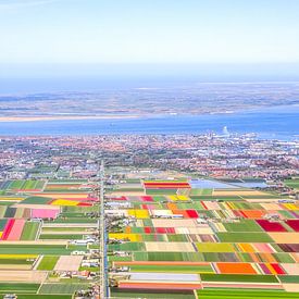 Panorama bloembollen Texel en Noord-Holland van Robert Riewald