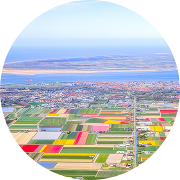 Panorama bloembollen Texel en Noord-Holland van Robert Riewald