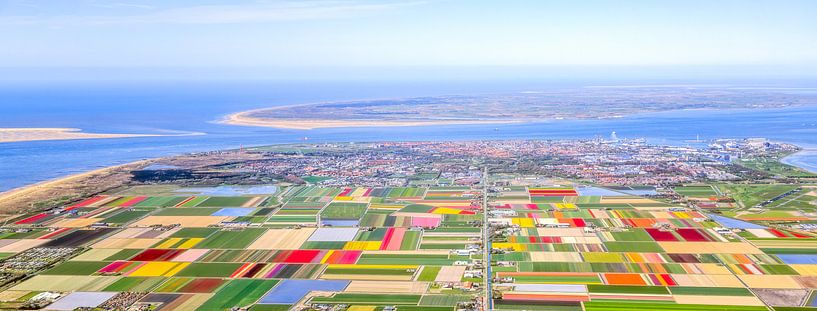 Panorama bloembollen Texel en Noord-Holland van Robert Riewald