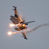 F-16 Fighting Falcon