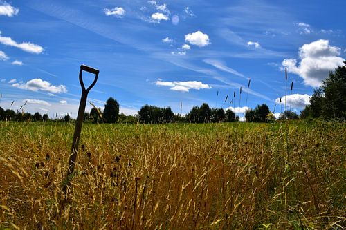 Een kamp tijdens de oogst