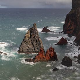 De rauwe ziel van Madeira van Walter G. Allgöwer