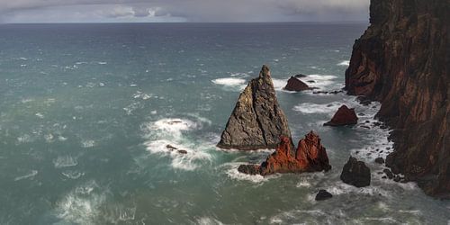 Die rohe Seele Madeiras von Walter G. Allgöwer