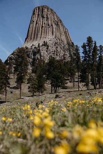 Devils tower national state park USA