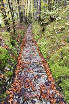 Celtic road, Roman road, Rottweg, historic railway line near Klais, Werdenfelser Land