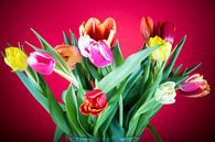 Tulpenboeket van Angelika Stern thumbnail
