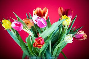 Bouquet de tulipes sur Angelika Stern