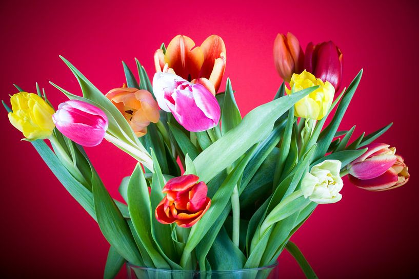 Tulpenboeket van Angelika Stern