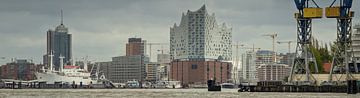 Panorama van de skyline van Hamburg van Jonas Weinitschke