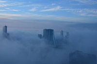 Rotterdamse Iconen omgeven door mist
