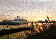 SS Rotterdam in de zonsopkomst onder een sprookjesachtige lucht von Daniël van Leeuwen Miniaturansicht