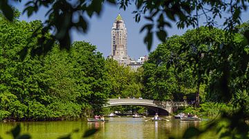 New York Central Park  The Lake