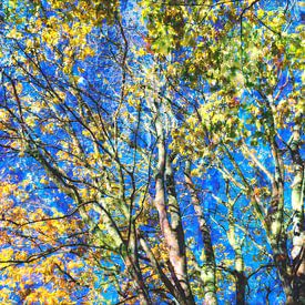 Herfstbomen van Diana Mets