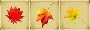 Triptychon Herbst