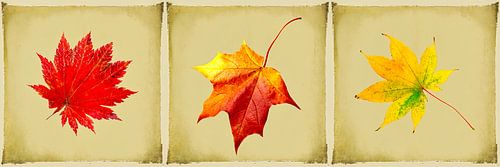 triptych autumn