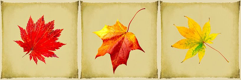 triptych autumn by Rietje Bulthuis