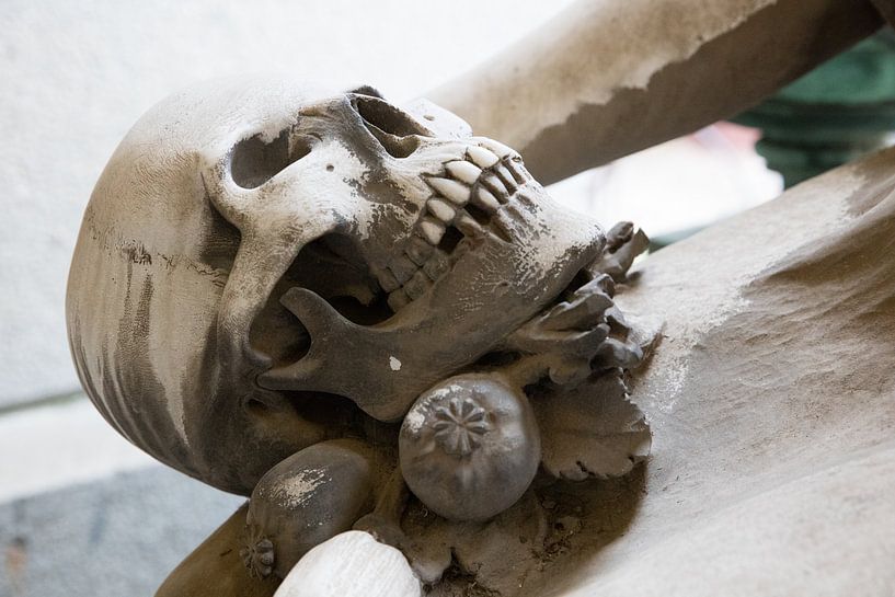 Skull by Joost Adriaanse