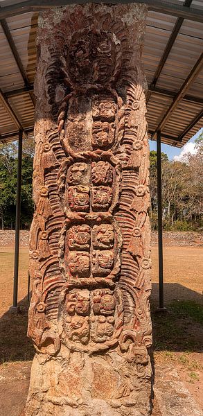 Honduras: Copán (Los Sapos) von Maarten Verhees