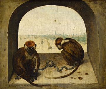 Twee geketende apen, Pieter Bruegel de Oude