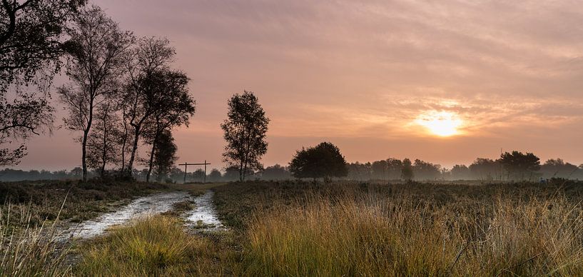 Volg het pad par Steven Groothuismink