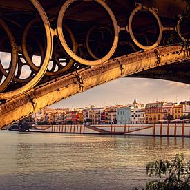 View of Triana, Seville by Jan de Vries