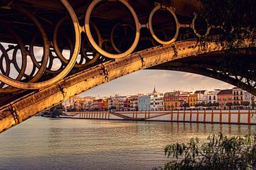 View of Triana, Seville by Jan de Vries