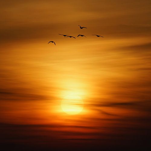 Aufbruch bei Tagesbeginn