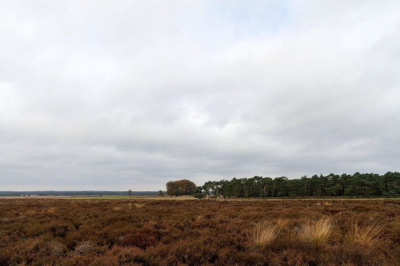 Hoge Veluwe by Edward fotografie