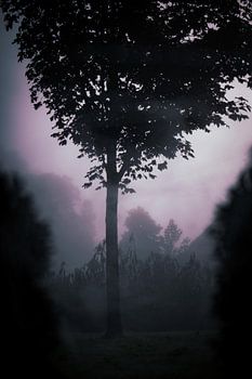 Mist