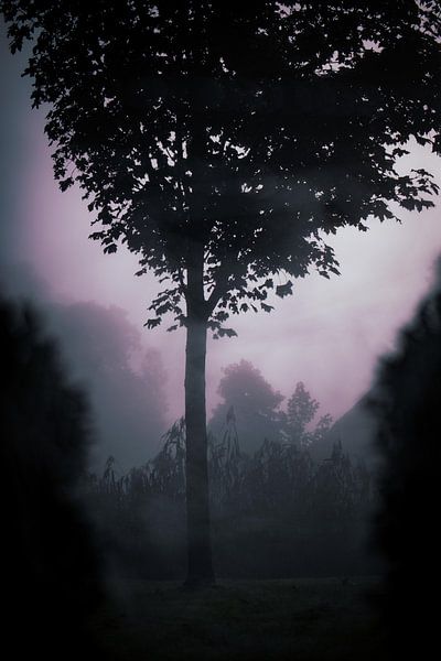 Nebel von Helga van de Kar