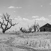 Verlaten huis op de prairie van Donny Kardienaal