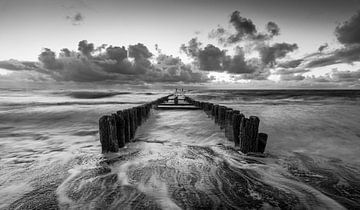 Pole head in black and white