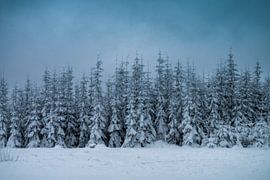 Congelés ensemble sur Joris Machholz