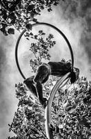 Statue in honor of burning witches