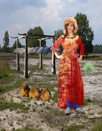 Het tempeltje van Barger Oosterveld