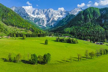 Vue aérienne de la vallée de Zgornje Jezersko au printemps