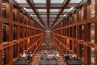 Library in Berlin., Massimo Cuomo by 1x thumbnail