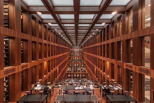 Bibliothèque à Berlin., Massimo Cuomo