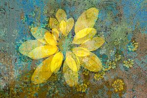 Zonnehoed & Dille