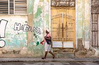 Habana van Miro May thumbnail