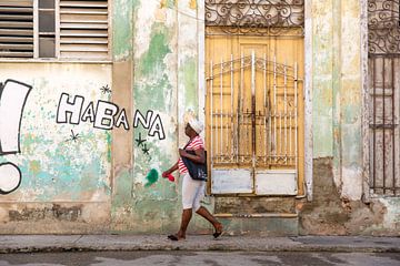 Habana van Miro May