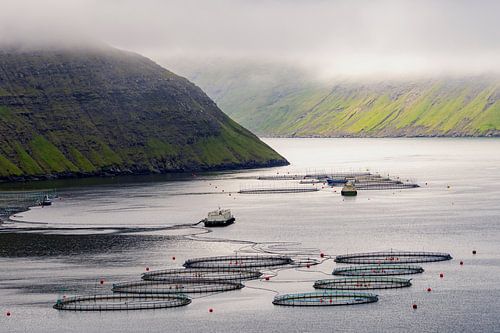 Salmon farm on the Faroe Islands