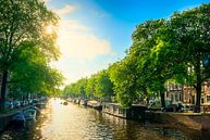 Summery Amsterdam by Martijn Kort thumbnail