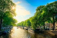 Zomers Amsterdam