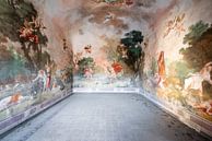 Fresco in Verlaten Paleis. van Roman Robroek - Foto's van Verlaten Gebouwen thumbnail