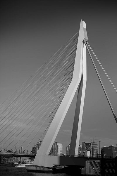 Architektur | Erasmusbrücke von Sylvana Portier